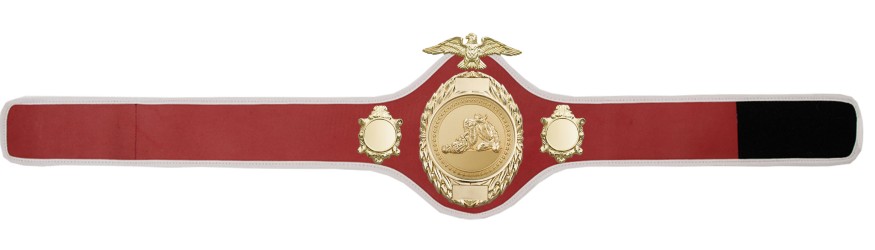 JIU JITSU CHAMPIONSHIP BELT-PRO288/G/JJG - 10 COLOURS JIU JITSU CHAMPIONSHIP BELT-PRO288/G/JJG - 10 COLOURS